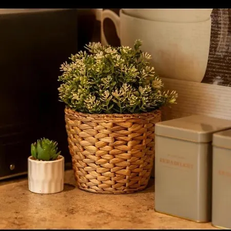 Lägenhet Downtown Oasis Unirii